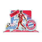 Customizable Soccer Star Standee – 2026 World Cup Football Figure, Desktop Display Acrylic Collectible for Fans - FIFA Hype Shop